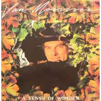  Van Morrison ‎– A Sense Of Wonder (Mercury ‎– 822 895-1 ) (Zeer goede staat, hoes VG+ en vinyl VG+)