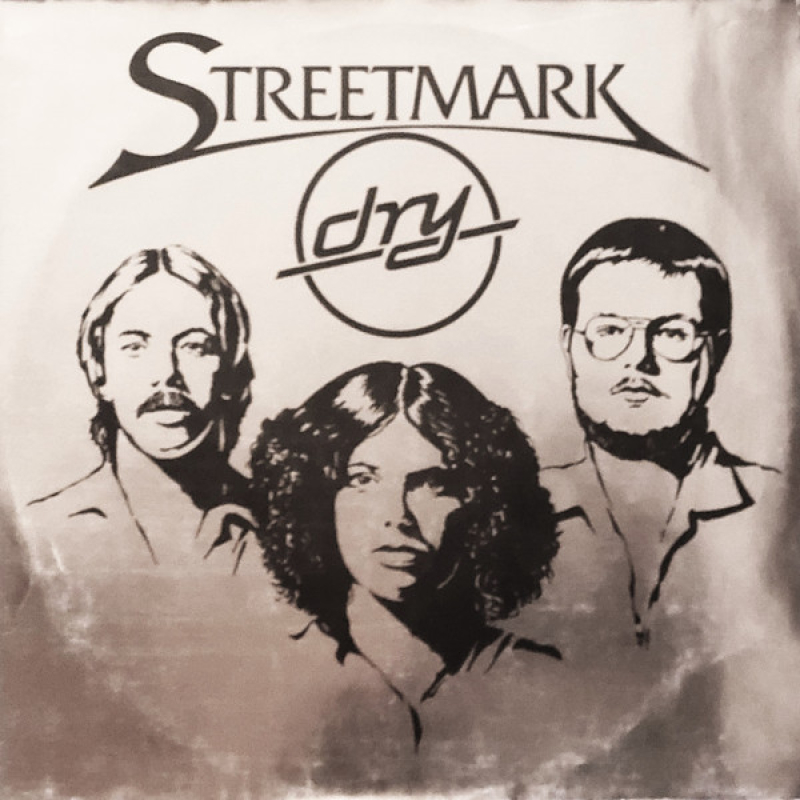 Streetmark - Dry 	 (Zeer goede staat, hoes VG+ en vinyl VG+)  	Sky Records – sky 023